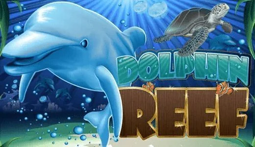 DolphinReefPT